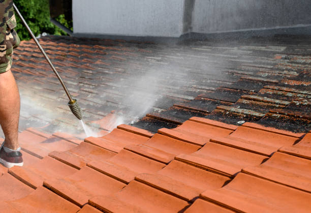 Best Roof Pressure Washing  in Haslet, TX